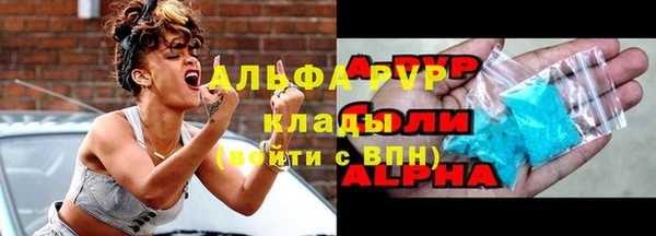 прущие грибы Абаза