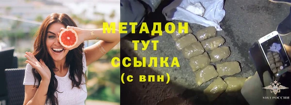 прущие грибы Абаза