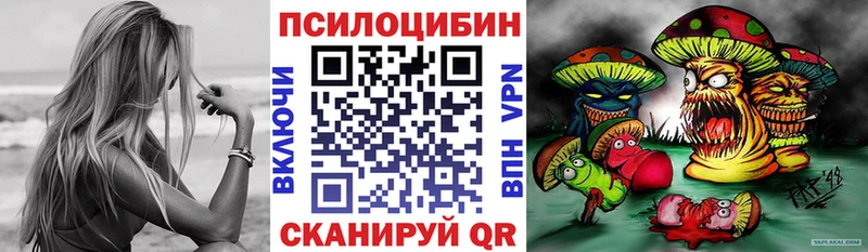 дарнет шоп  Мосальск  Псилоцибиновые грибы прущие грибы 
